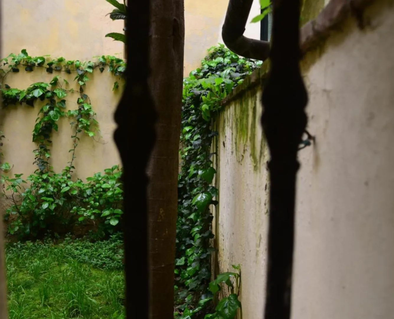Il Segreto Di Via Laura - House In Florence Apartment Italy