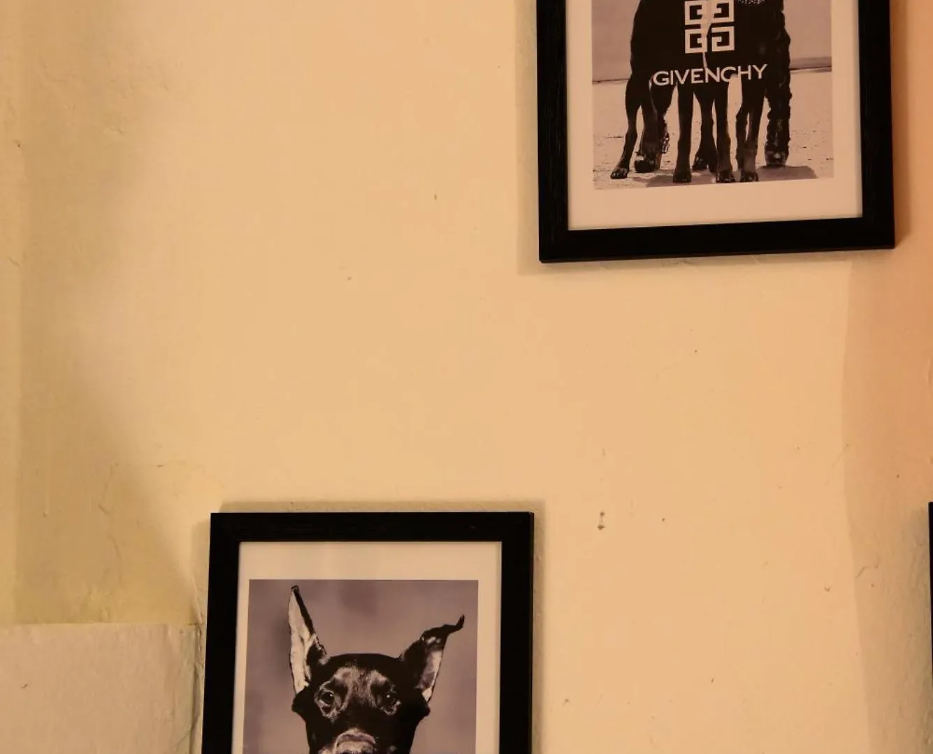 Il Segreto Di Via Laura - House In Florence Apartment