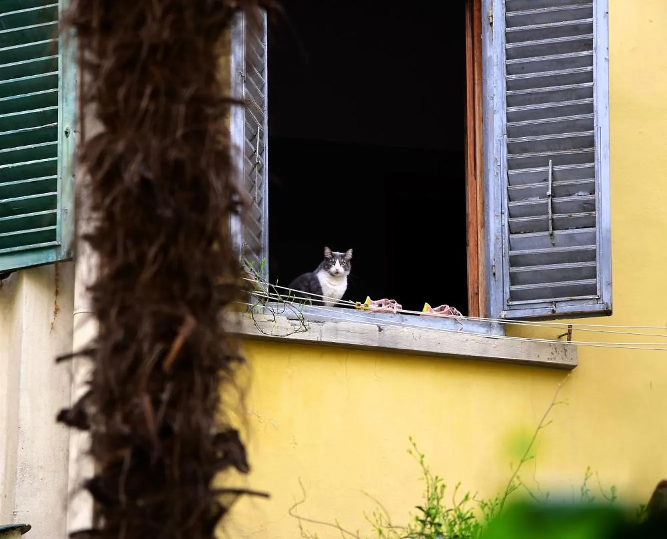 Apartmán Il Segreto Di Via Laura - House In Florencie